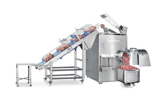 Molino de carne congelada GW 300